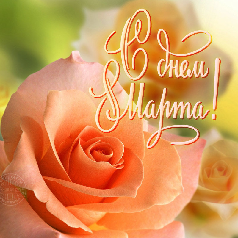 Милые дорогие дамы,с праздником вас,с 8марта,оставайтесь всегда красивыми,любимыми и незаменимыми!!!