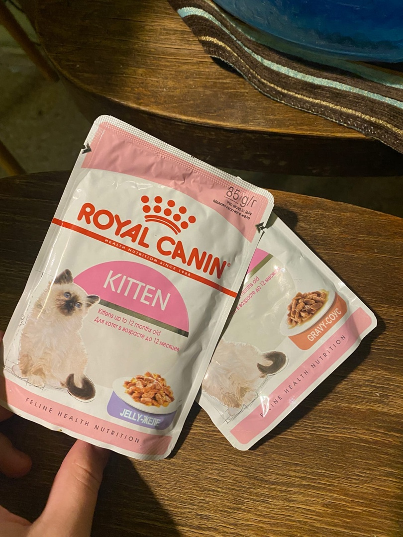 Влажный корм Royal Canin для котят