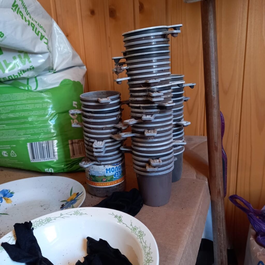 Подготовка грунта и тары