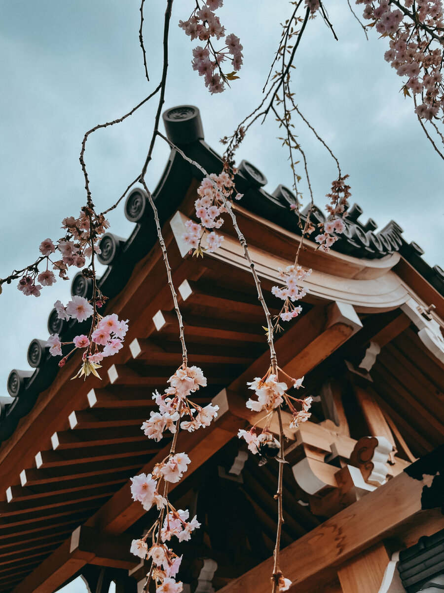 Вход в Японский сад, Мрия.