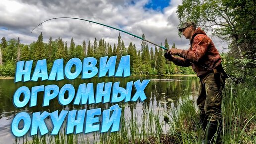 Download Video: КРУПНЫЙ ОКУНЬ НА УДОЧКУ. НОЧЕВКА В ПАЛАТКЕ. ПОИСК ПЕРЕПРАВЫ ДЛЯ КАРАКАТА.