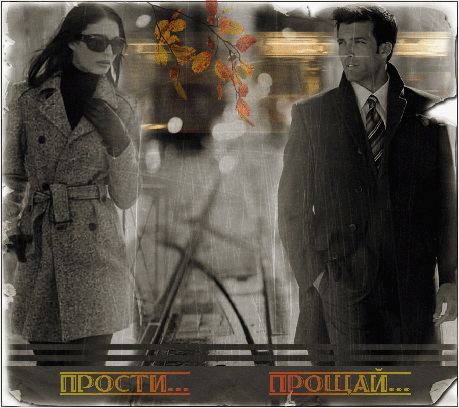 Фото из интернета в свободном доступе.