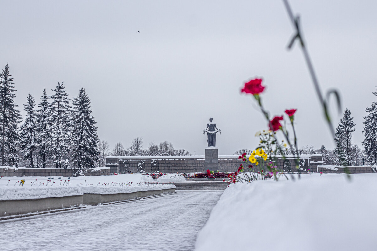 Как хоронили в блокаду. Пискаревское кладбище. | slvspb - Ежедневно о  Петербурге | Дзен