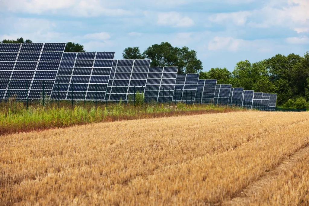 Источник: Яндекс.Картинки