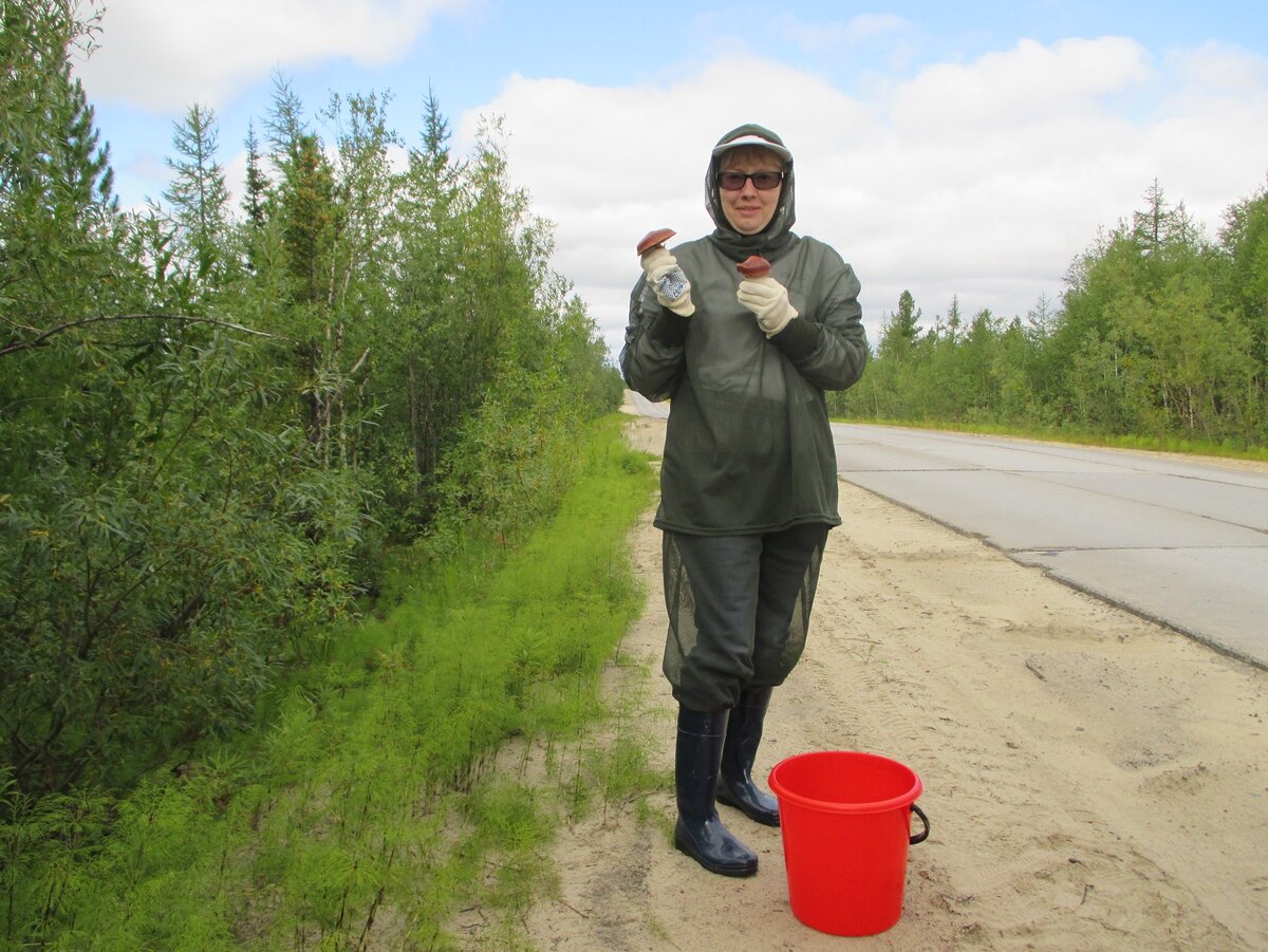Любая северянка чуть-чуть грибница и слегка ягодница