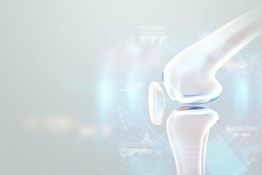 Коллаген II типа: основа хряща