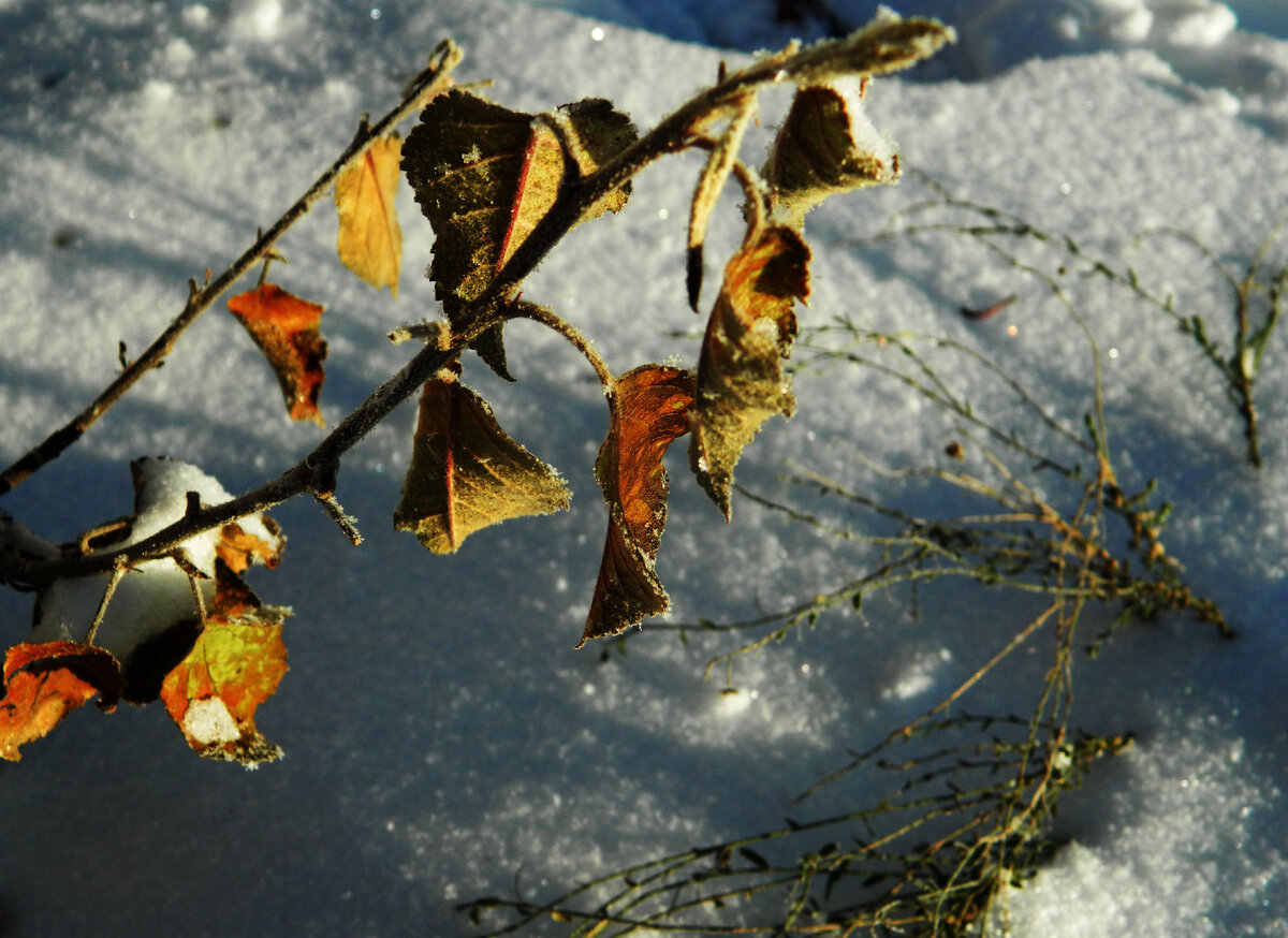 фото автора канала 