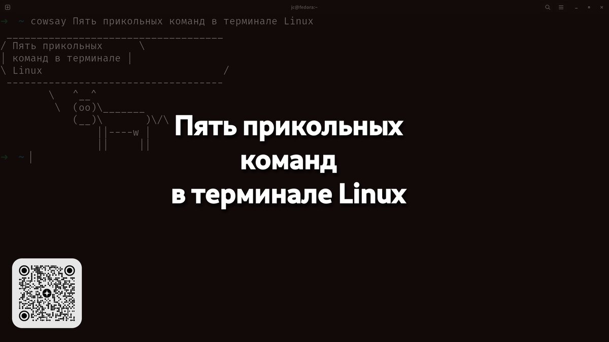 Пять прикольных команд в терминале Linux | Linux для чайников: гайды,  статьи и обзоры | Дзен