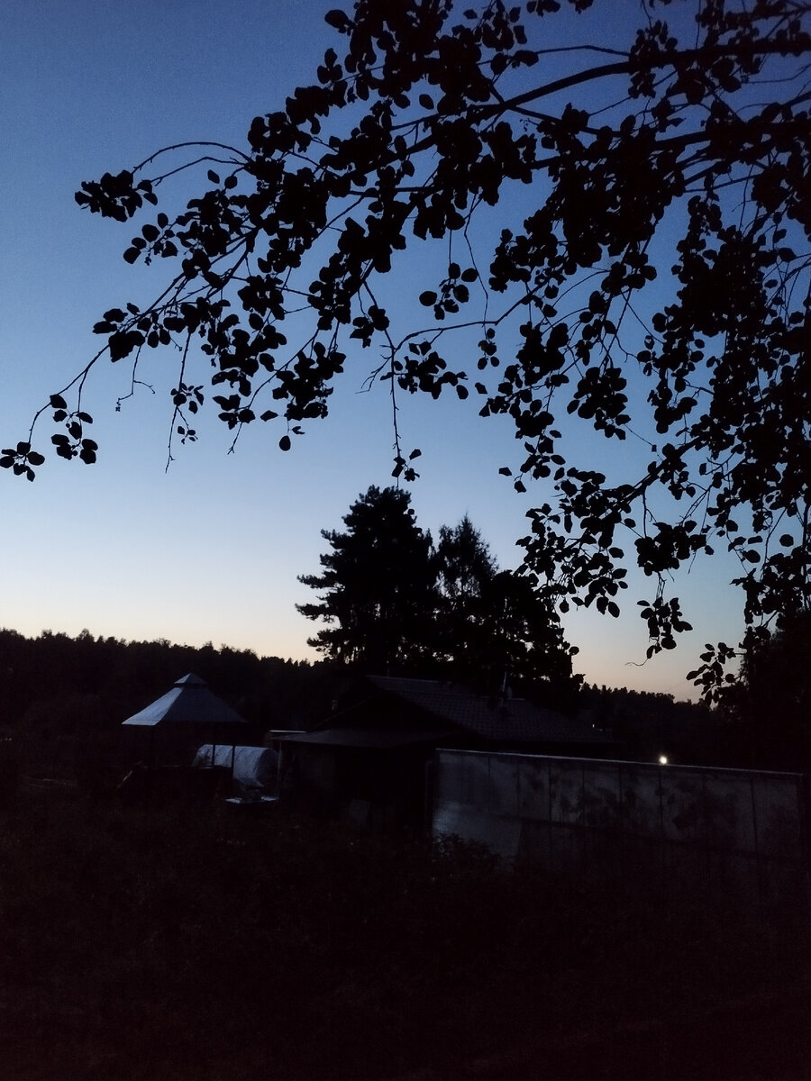 Вчерашний вечер, когда я ещё ничего не знала об изменениях в ОГЭ. Фото из личного архива автора