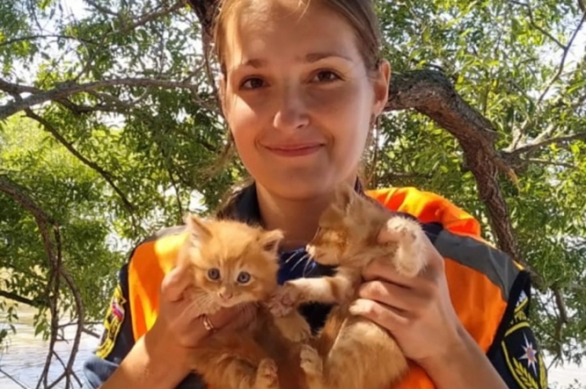    Ёж и Пух из реки.