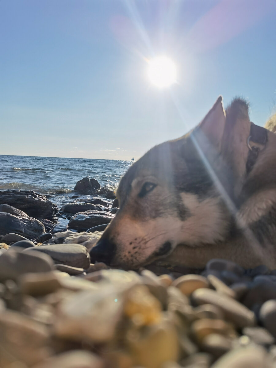 будем их выковыривать маленькими файлами из глубинных недр своего сознания. 