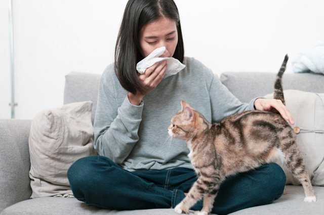    Обязательно ли отдавать питомца, если на него началась аллергия?