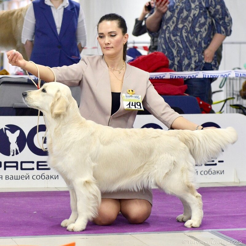  ЛАРОУЗ ЛАЙН ЦЕВАРА - Чемпион России