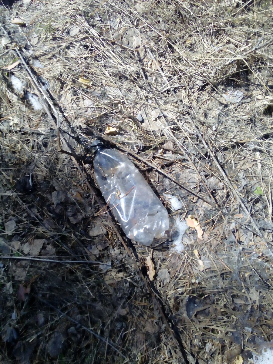 Личное фото.