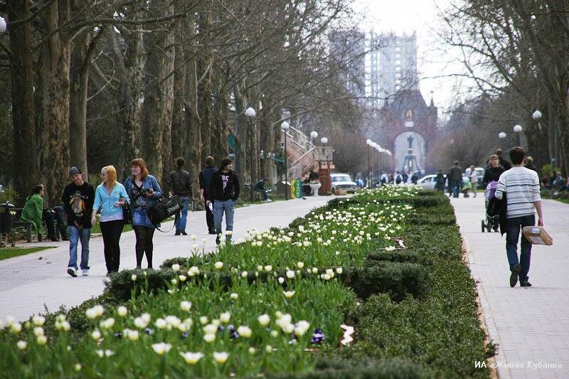 Краснодар в апреле фото Атмосфера кубанской весны Добрый Краснодар Дзен