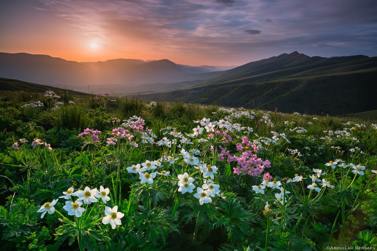 Горный луг фото