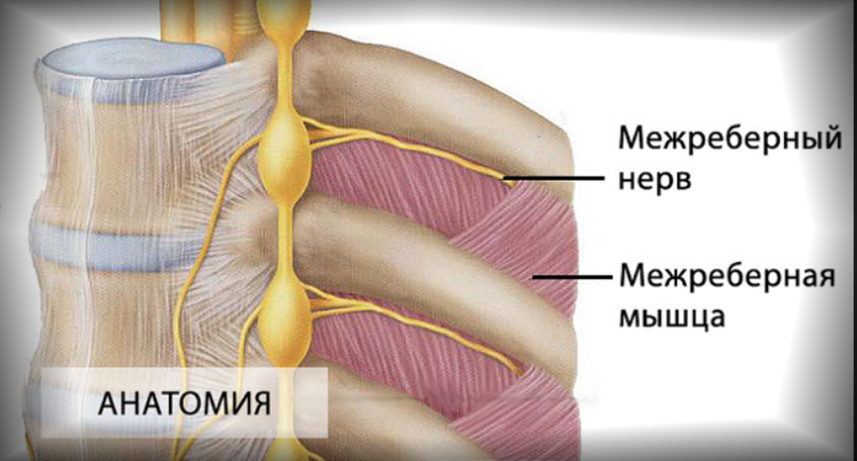 Межреберная невралгия: причины, симптомы, лечение