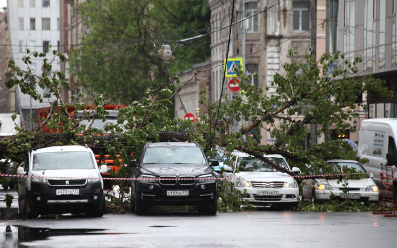 Последствия урагана в Москве 29 мая 2017 года. Фото: Сергей Ведяшкин/АГН Москва