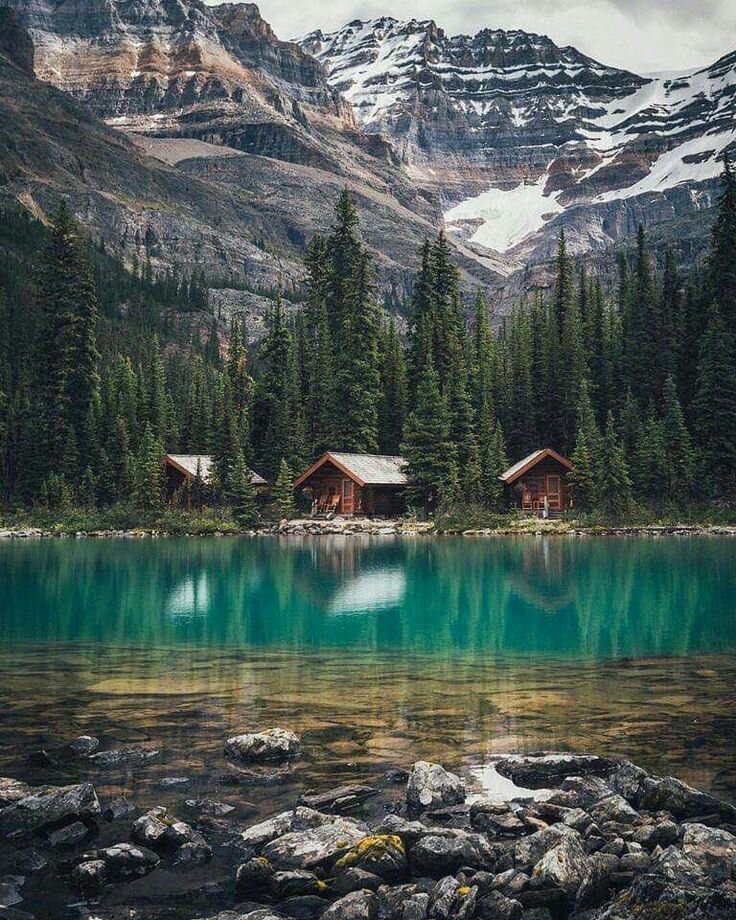 Фото взято из Интернета