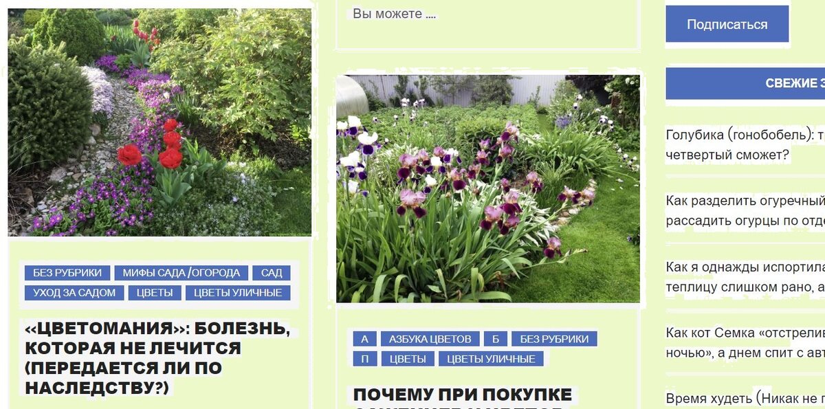 скрин со страницы моего сайта, где много интересного