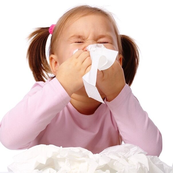 Иллюстрация из интернета