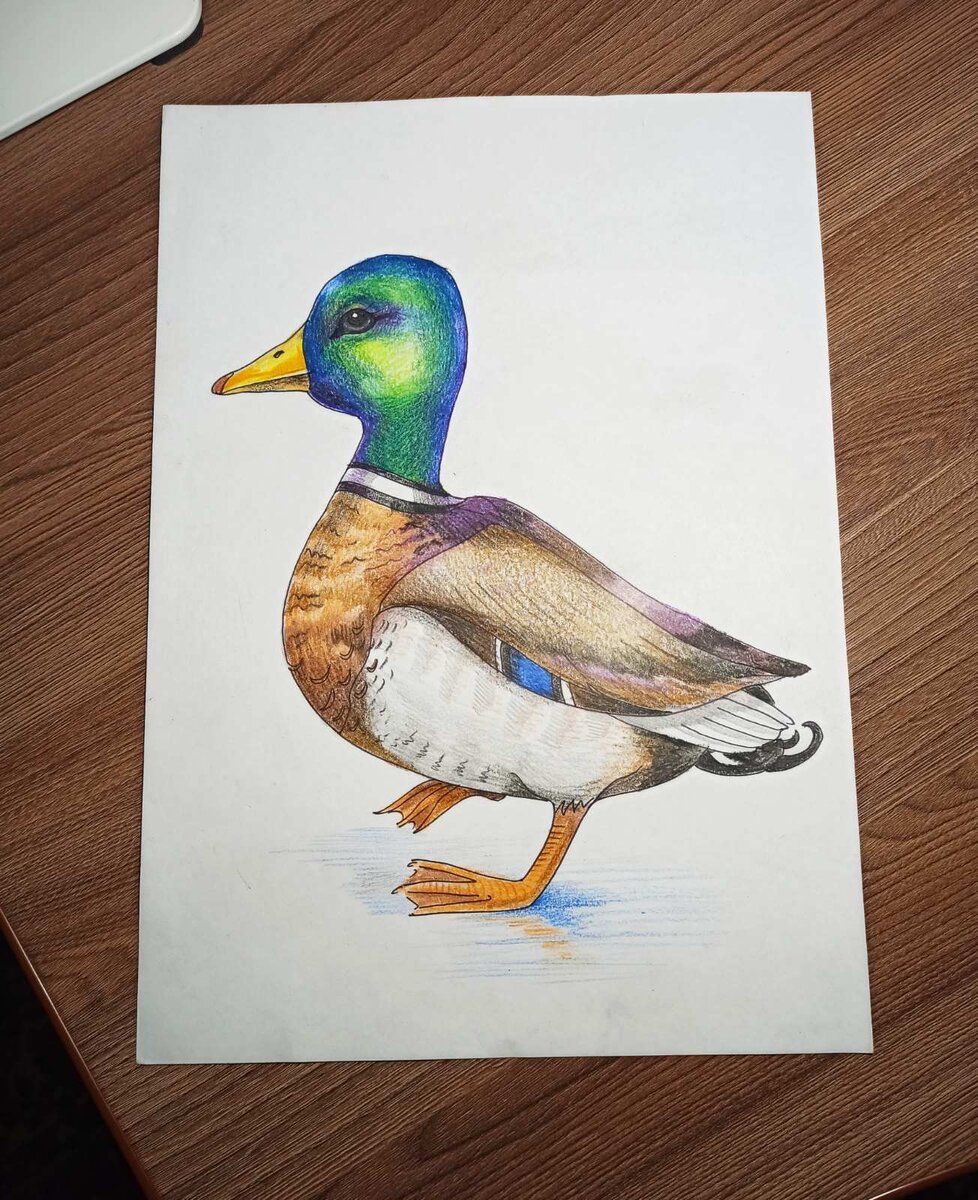 Фото итоговой работы 