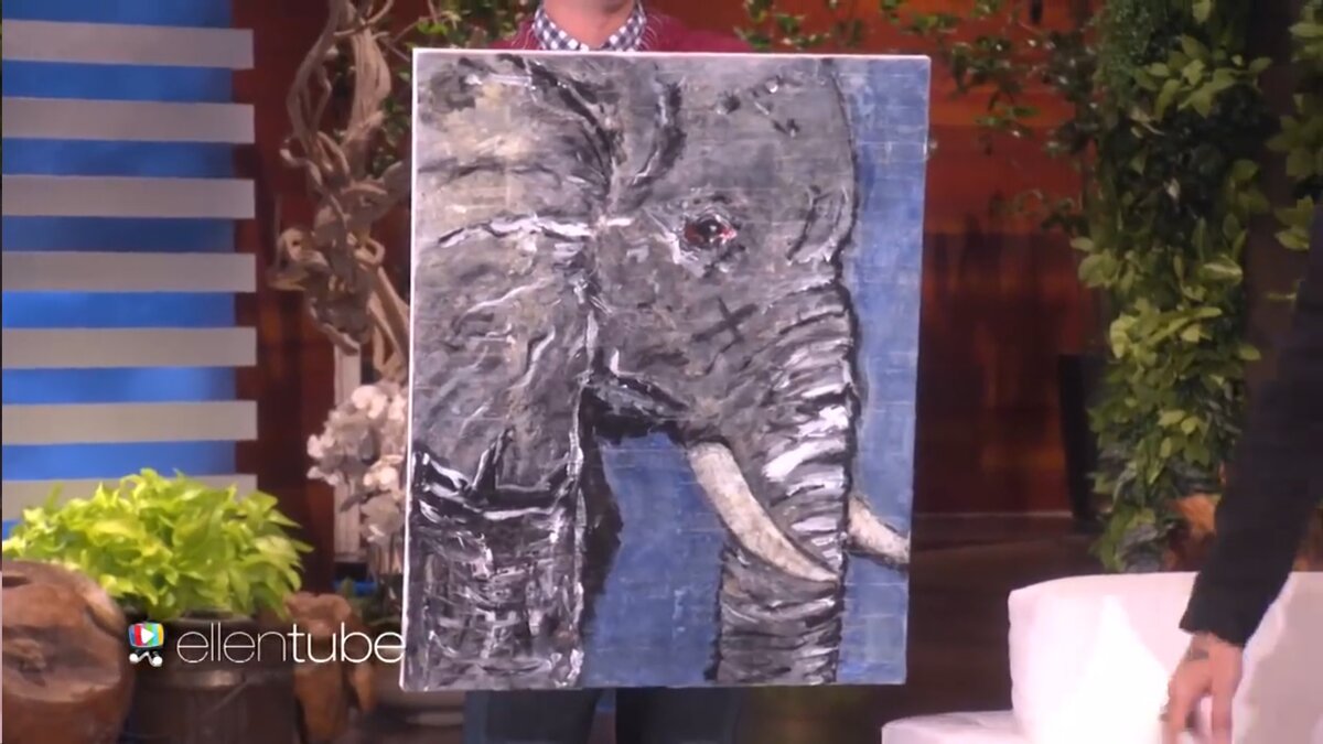 Слон, которого подарил Депп Эллен Дедженерес на ее шоу