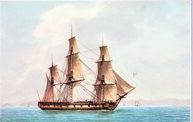 Фото из свободных источников