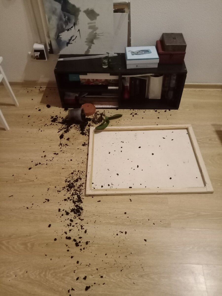 Пришёл с работы в 5 утра, думал спать сейчас лягу, а тут такое!