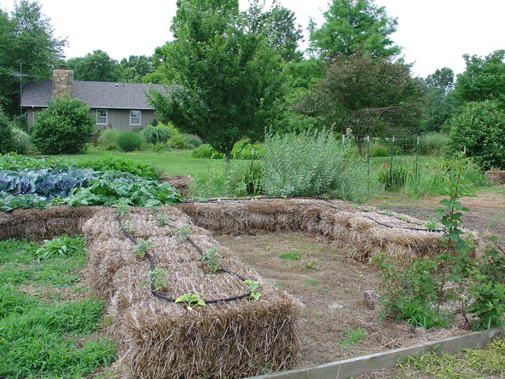 Грядки из тюков соломы - фщто ©strawbalegardens.com