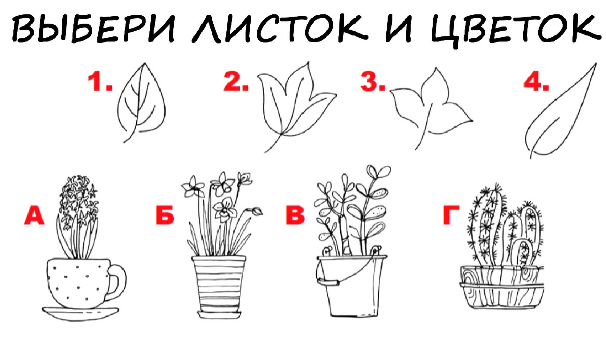 Тест по картинкам на будущее с ответами