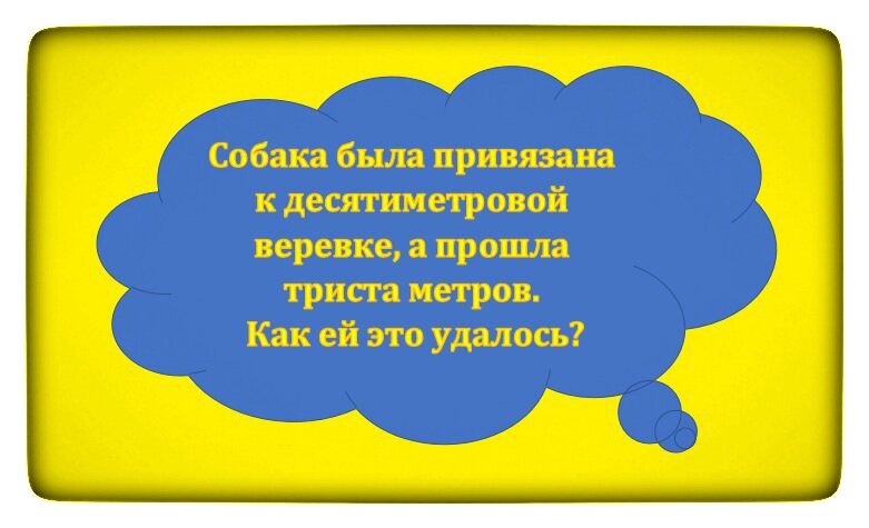 Консультация «Что такое загадки с подвохом, в чем их польза»