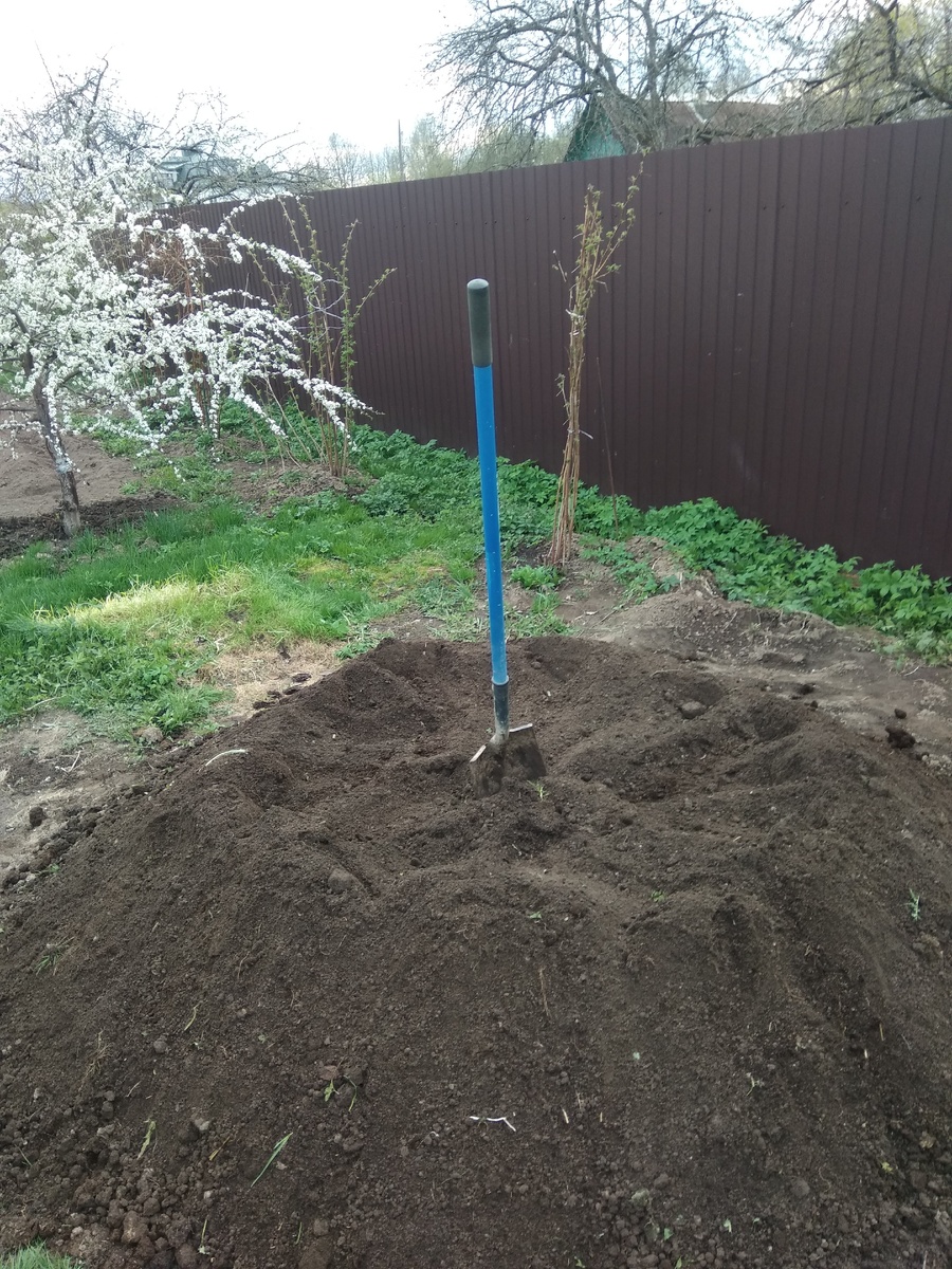 Фотография из личного архива