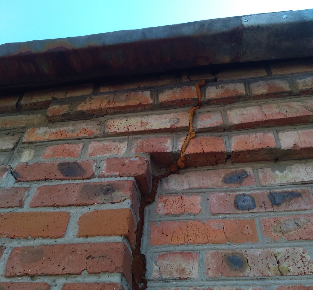 Фотография автора