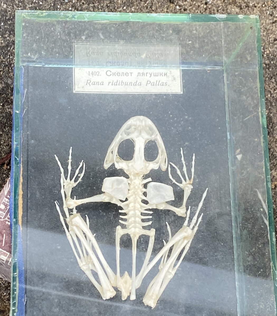 Личное фото