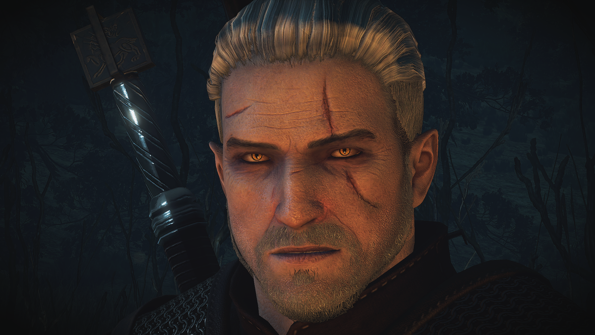 The witcher 3 geralt face фото 11