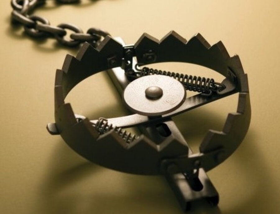 Картинка с сайта Tvoyaohota.com