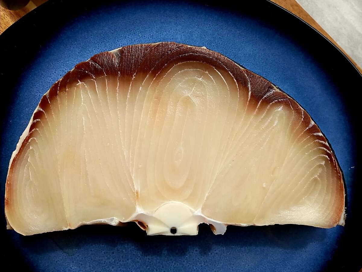 Размороженный стейк голубой акулы