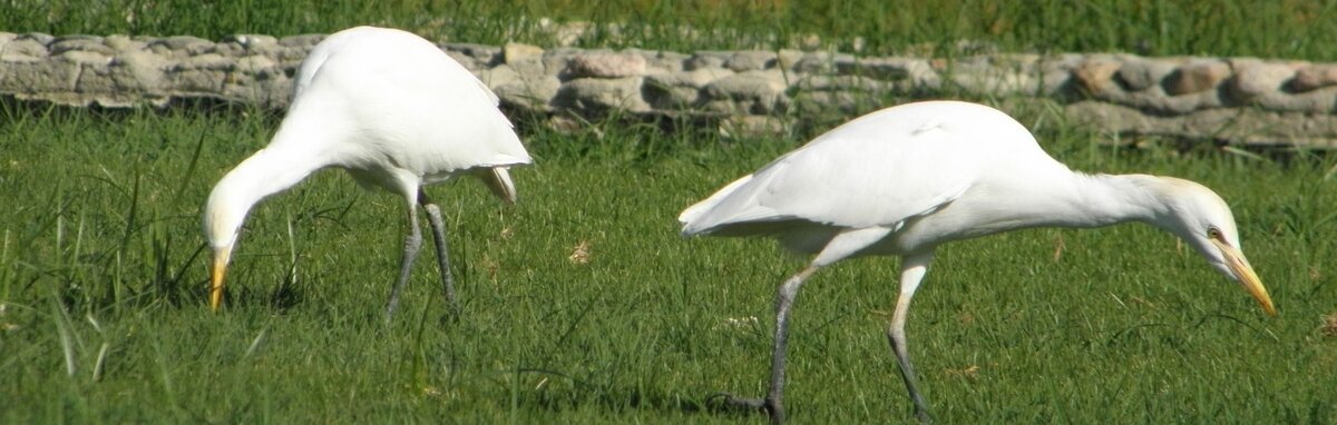 Делитесь в соцсетях! Это поможет развитию канала!