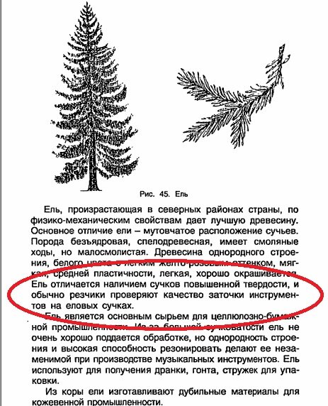 Дальше по тексту есть еще упоминание про проверку на сучках или твердой древесине. Также сказано, что древесина ели малопригодна для резьбы