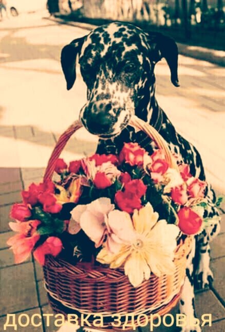 источник: WhatsApp images