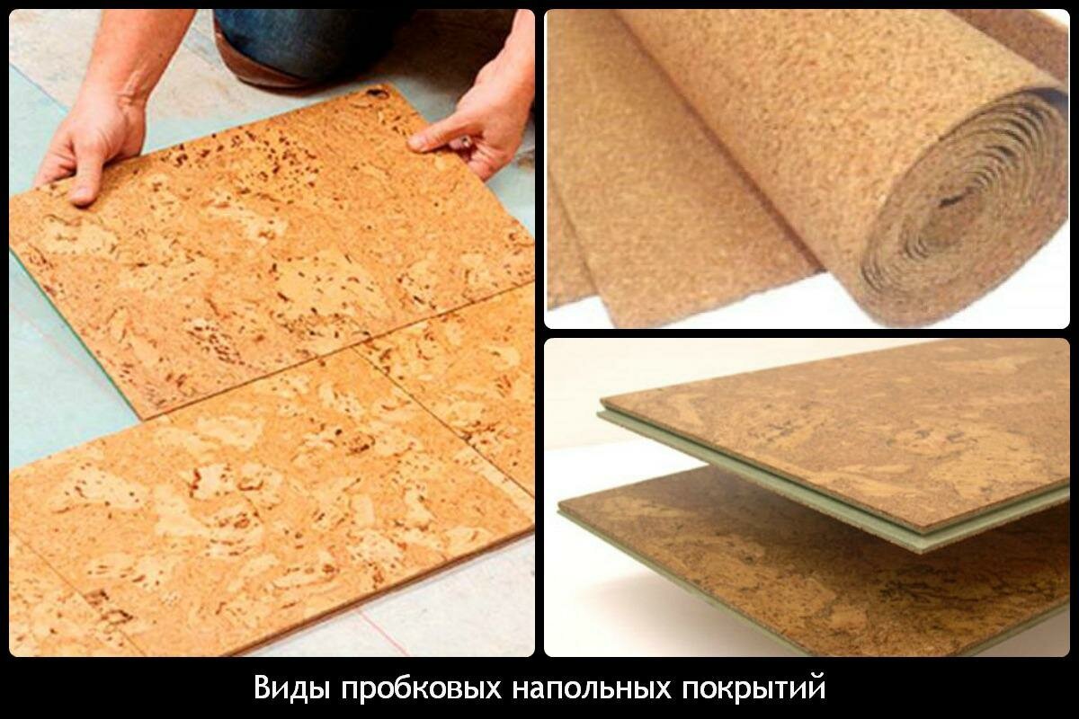 Изображение взято из Яндекс Картинки