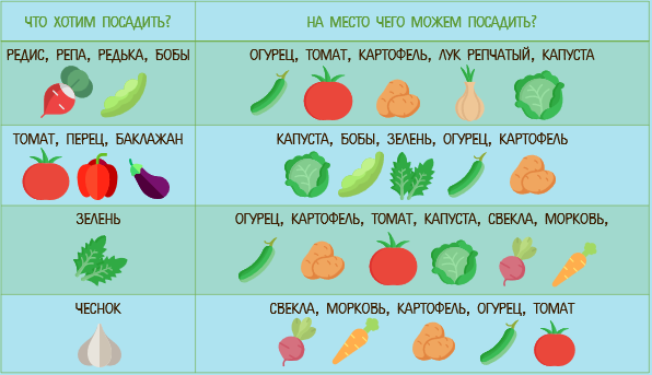 Овощи в день сколько есть