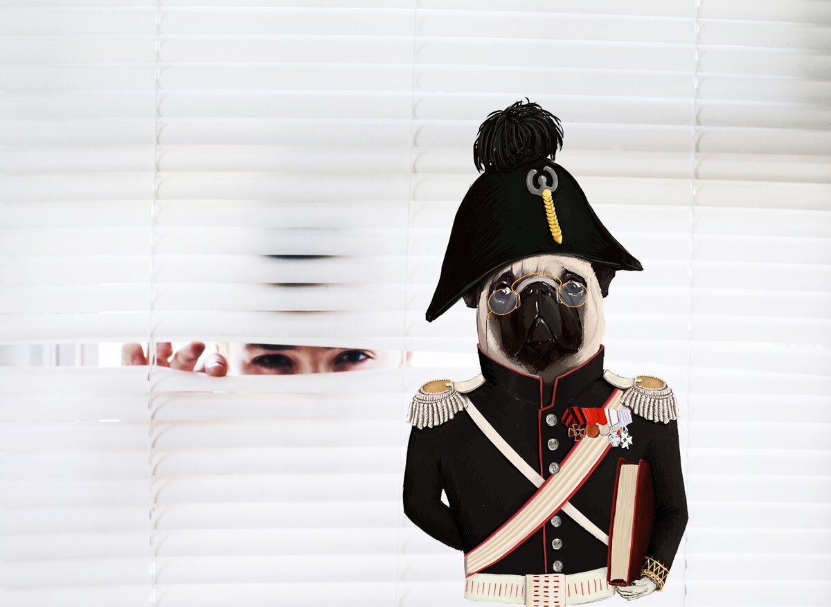 Голова место темное, исследованиям не подлежит!