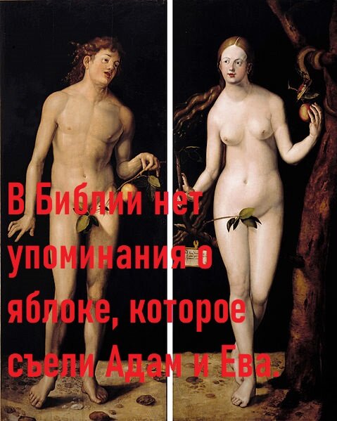 Фото из личного архива.