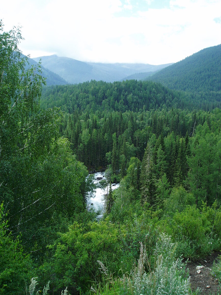Внизу под обрывом Мульта.