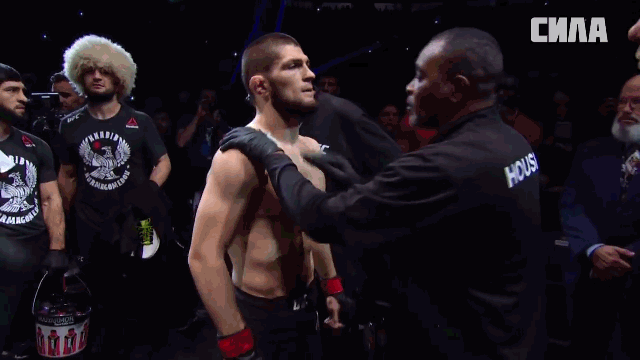 Фото с канала Ютуб /ссылка на канал ниже/