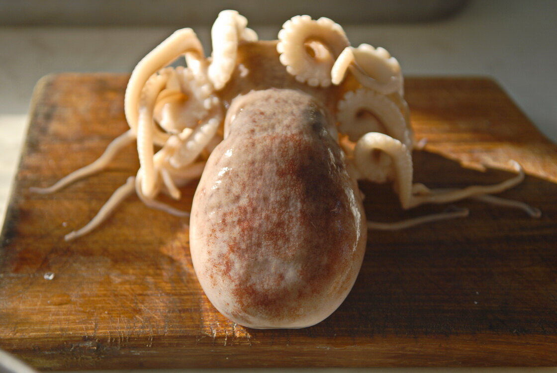 Свежий, совсем еще юный осьминожка, только лежал во льду на рыбном рынке.