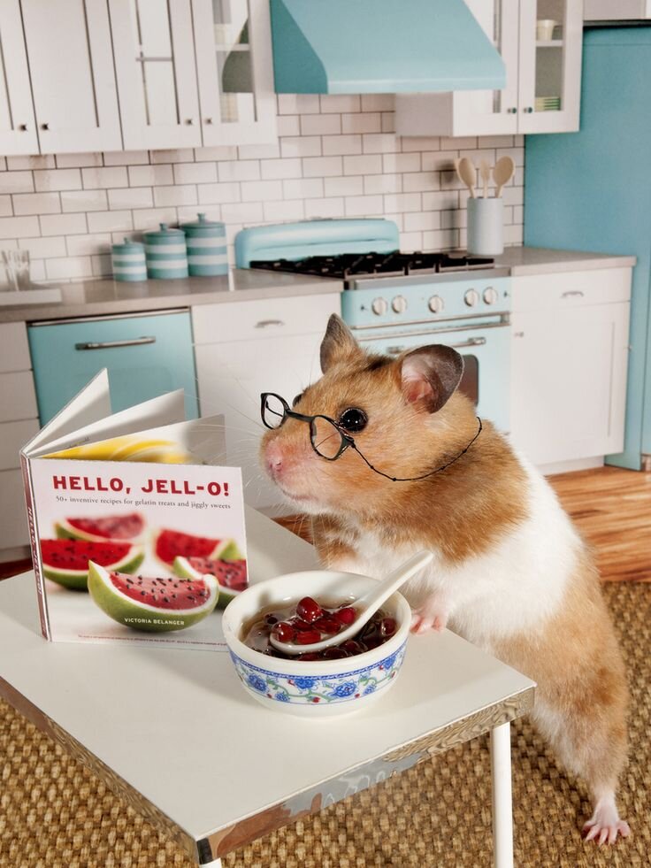 https://i.pinimg.com/736x/c1/a4/da/c1a4da74de069b9327a1441b1d65f0a4--chefs-zoey.jpg