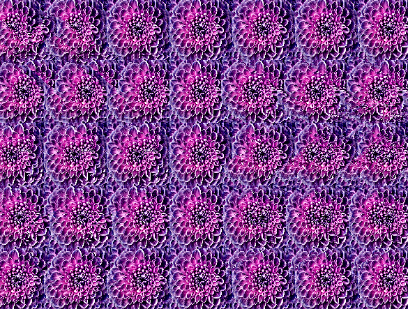 Авторская стереокартинка